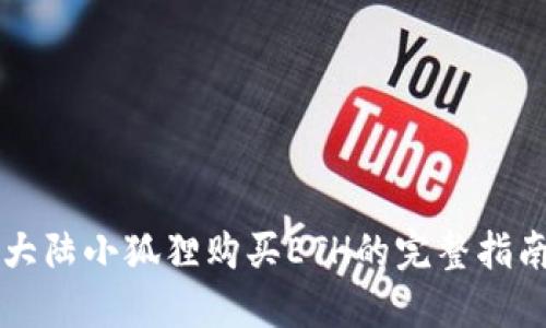 大陆小狐狸购买ETH的完整指南